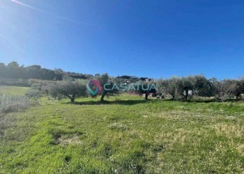 terreno - Agricultural land Silvi - photo 18