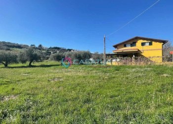 terreno - Agricultural land Silvi - photo 19