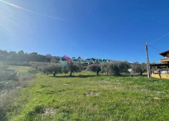 terreno - Agricultural land Silvi - photo 21