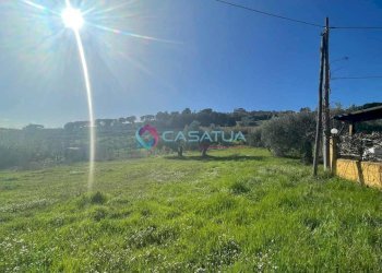 terreno - Agricultural land Silvi - photo 22