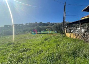 terreno - Agricultural land Silvi - photo 26