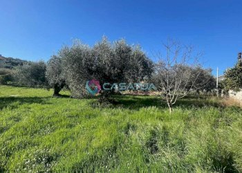 terreno - Agricultural land Silvi - photo 30