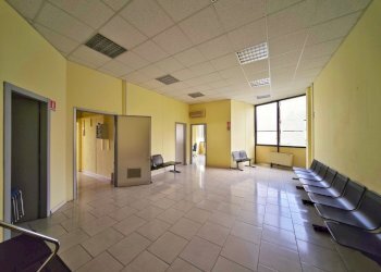 IMG_20250821_125219~2.jpg - Ufficio Via Brigata Partigiana Ugo Muccini 92, Sarzana - foto 1