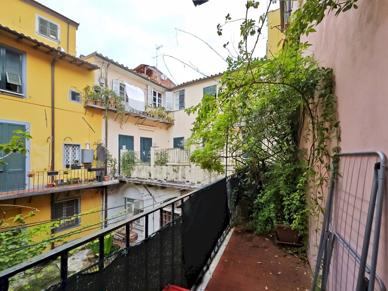 IMG_20250820_114559.jpg - Quadrilocale Via Cigala, Sarzana - foto 1