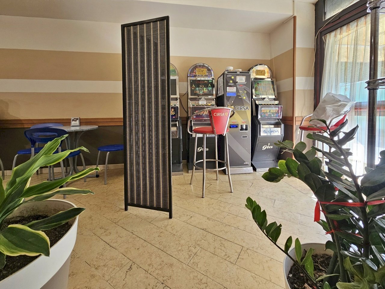 20250625_100151.jpg - Cafeteria - Cold Bar Via Eugenio Montale 35, Carrara - photo 3