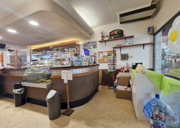 20250625_095858.jpg - Bar Tavola Calda - Fredda Via Eugenio Montale 35, Carrara - foto 2