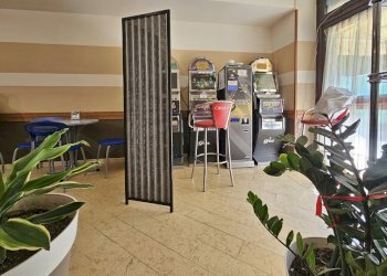 20250625_100151.jpg - Bar Tavola Calda - Fredda Via Eugenio Montale 35, Carrara - foto 3