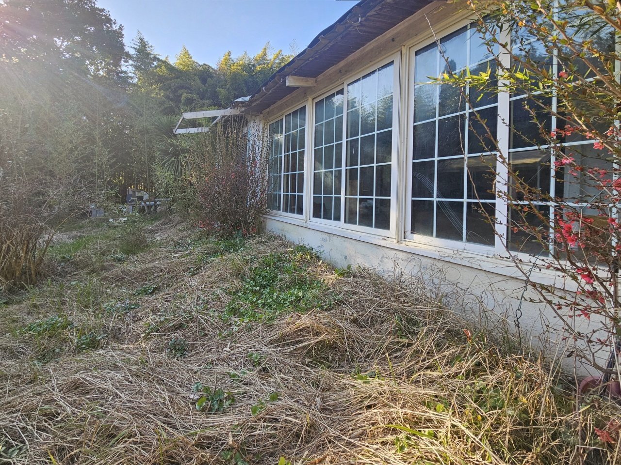 02.jpg - Rustico Ameglia - foto 2