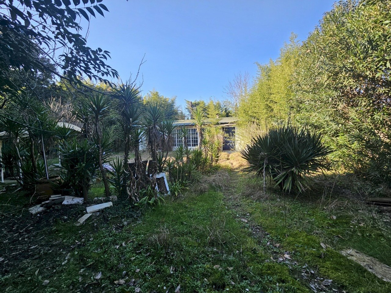 03.jpg - Rustico Ameglia - foto 3