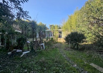 03.jpg - Rustico Ameglia - foto 3