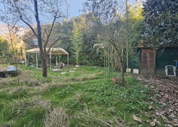07.jpg - Rustico Ameglia - foto 7