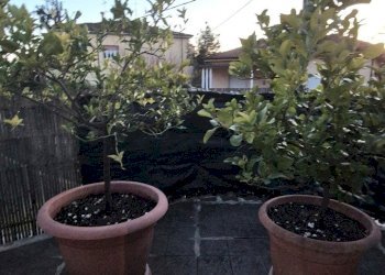 27.jpg - Villa Via San Francesco 47, Sarzana - foto 27