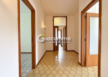 penta-domgiura7.jpg - Appartamento Via Domenico di Giura, Potenza - foto 2