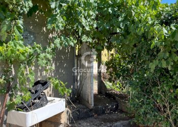 IMG_2477.jpg - Independent house Largo Gagliardi, Avigliano - photo 16