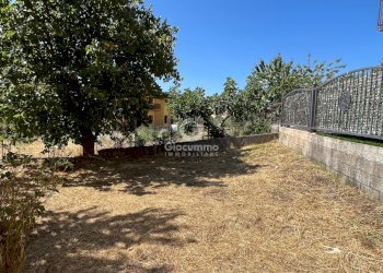 IMG_2470.jpg - Independent house Largo Gagliardi, Avigliano - photo 20