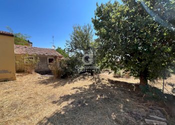 IMG_2472.jpg - Independent house Largo Gagliardi, Avigliano - photo 22