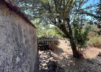 IMG_2473.jpg - Independent house Largo Gagliardi, Avigliano - photo 23