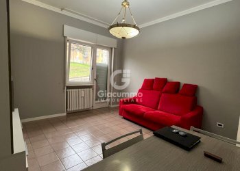 quadri-cirillo9.jpg - Appartamento Via Cirillo Domenico, Potenza - foto 7