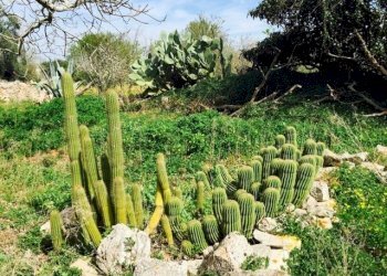 Contrada Giovannarolla - Terreno edificabile Contrada Giovannarolla, Ostuni - foto 15