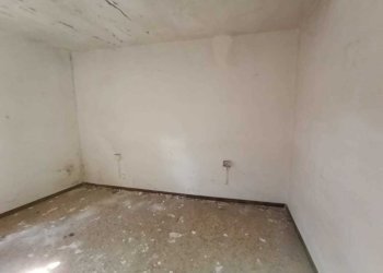 WhatsApp Image 2025-08-27 at 11.31.43.jpeg - Terratetto - Terracielo Fornovo di Taro - foto 23