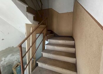 WhatsApp Image 2025-08-27 at 11.31.44.jpeg - Terratetto - Terracielo Fornovo di Taro - foto 26