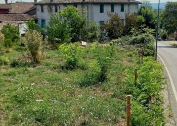 WhatsApp Image 2025-08-26 at 11.29.58 (1).jpeg - Terreno edificabile Medesano - foto 10