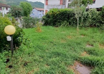 WhatsApp Image 2025-08-25 at 11.54.09 (3).jpeg - Appartamento Traversetolo - foto 20