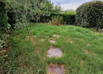 WhatsApp Image 2025-08-25 at 11.54.09 (4).jpeg - Appartamento Traversetolo - foto 21