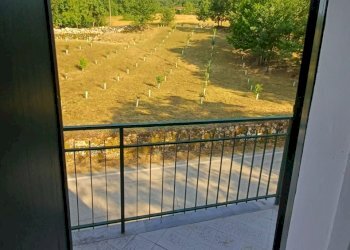 WhatsApp Image 2025-07-21 at 10.17.01 (1).jpeg - Trilocale Borgo Val di Taro - foto 8