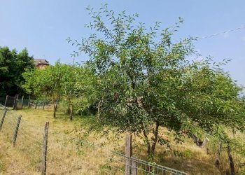 WhatsApp Image 2025-06-16 at 11.38.20.jpeg - Porzione di casa Solignano - foto 5