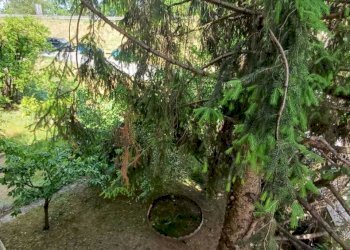 WhatsApp Image 2025-06-11 at 16.56.20 (7).jpeg - Four-room apartment Fornovo di Taro - photo 17