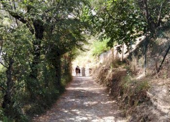 WhatsApp Image 2025-06-10 at 20.20.00 (3).jpeg - Appartamento La Spezia - foto 12