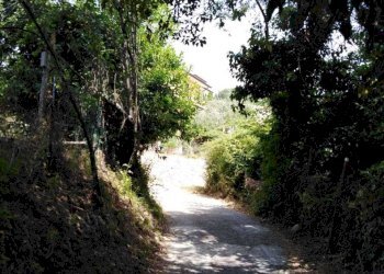 WhatsApp Image 2025-06-10 at 20.20.00 (4).jpeg - Appartamento La Spezia - foto 13