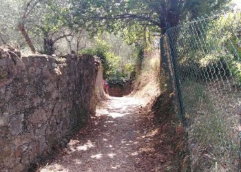 WhatsApp Image 2025-06-10 at 20.20.00.jpeg - Appartamento La Spezia - foto 15