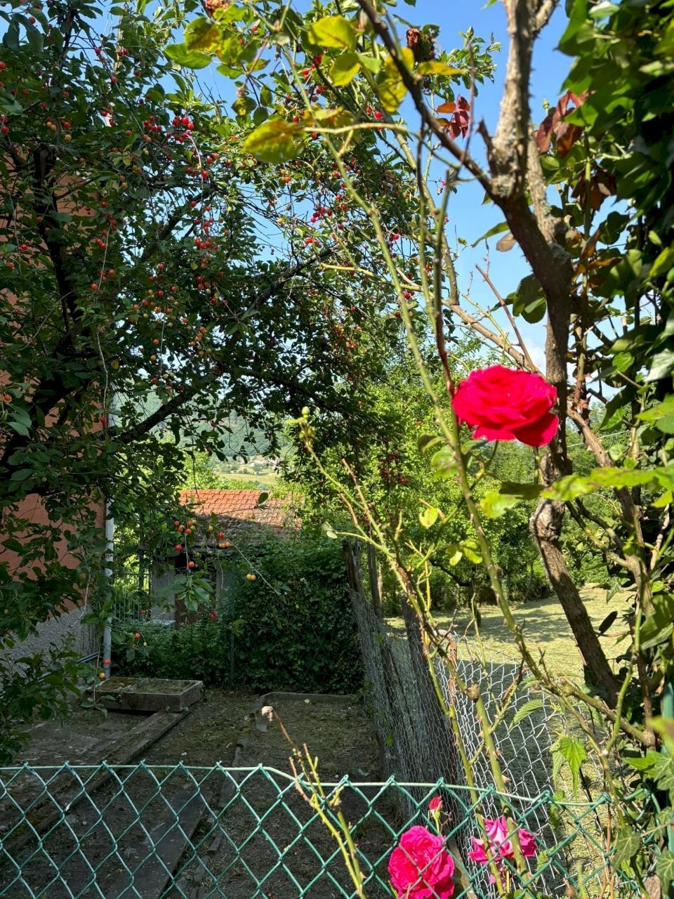 WhatsApp Image 2025-06-06 at 10.02.54 (1).jpeg - Porzione di casa Terenzo - foto 3