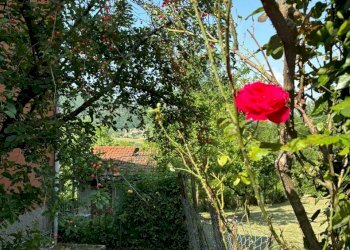 WhatsApp Image 2025-06-06 at 10.02.54 (1).jpeg - Porzione di casa Terenzo - foto 3