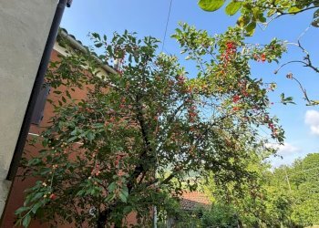 WhatsApp Image 2025-06-06 at 10.02.54 (2).jpeg - Porzione di casa Terenzo - foto 4