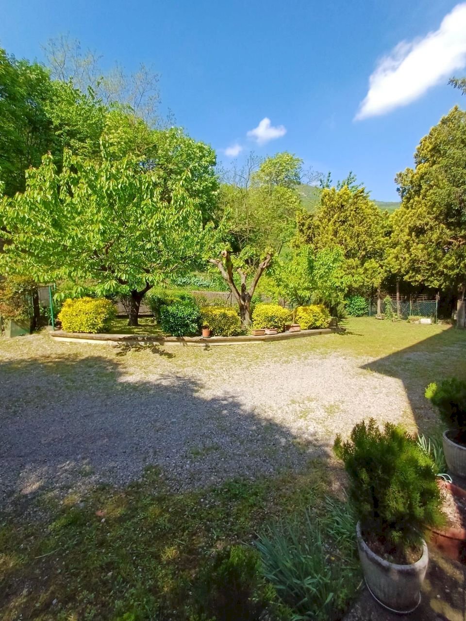 WhatsApp Image 2025-04-28 at 17.23.48 (1).jpeg - Villa Fornovo di Taro - foto 3