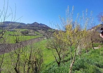 WhatsApp Image 2025-04-01 at 15.44.41 (1).jpeg - Appartamento Fornovo di Taro - foto 29