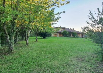 20200805_201343.jpg - Appartamento Solignano - foto 2