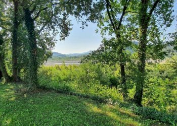 20200808_090604.jpg - Appartamento Solignano - foto 5