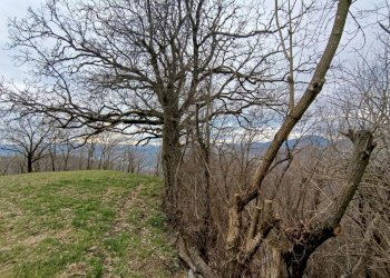 WhatsApp Image 2025-02-03 at 16.09.38 (9).jpeg - Porzione di casa Varano de' Melegari - foto 14