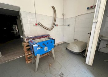 WhatsApp Image 2025-09-10 at 17.29.03 (4).jpeg - Newsagents - Newsagents with Kiosk via sant'antonio 30, Cinisello Balsamo - photo 8