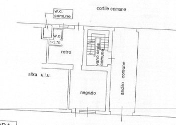 WhatsApp Image 2025-03-11 at 18.12.30.jpeg - Newsagents - Newsagents with Kiosk via sant'antonio 30, Cinisello Balsamo - photo 14