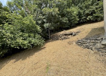 IMG_3573.jpg - Baita Borgata Sagne, Crissolo - photo 17