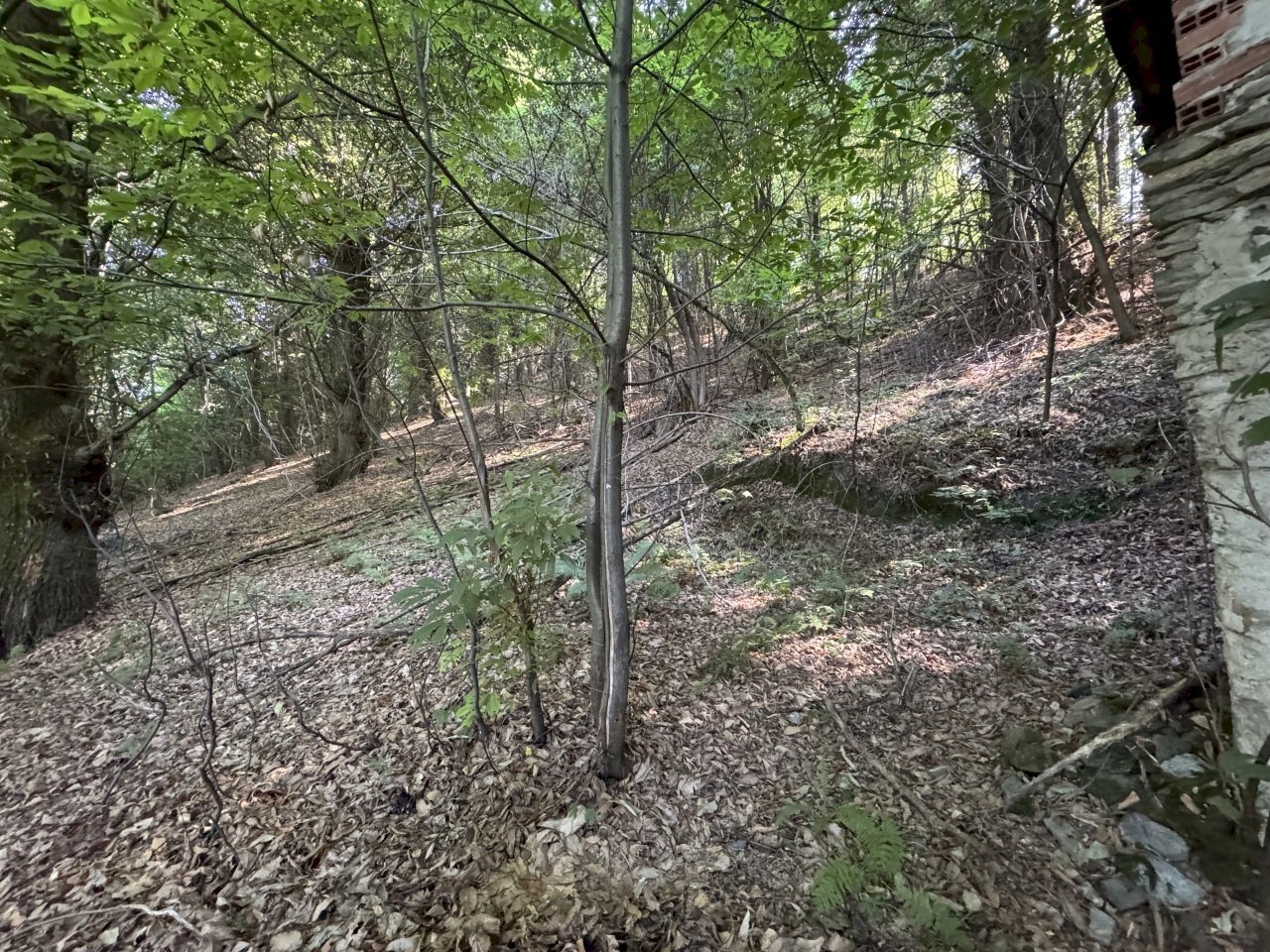 IMG_2905.jpg - Baita Borgata Rossetti, Paesana - photo 3