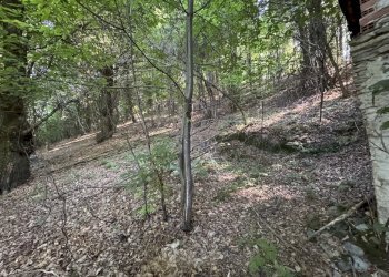 IMG_2905.jpg - Baita Borgata Rossetti, Paesana - photo 3