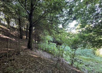 IMG_2908.jpg - Baita Borgata Rossetti, Paesana - photo 6