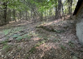 IMG_2909.jpg - Baita Borgata Rossetti, Paesana - photo 7