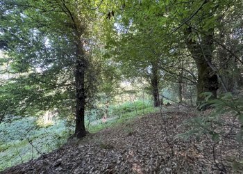 IMG_2910.jpg - Baita Borgata Rossetti, Paesana - photo 8